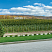Тротуарные плиты "S-ФОРМА" - В.3.Ф.10 Листопад гладкий Мустанг