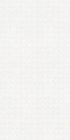 DIOR (WHITE)