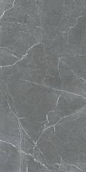 SHAKESPEARE SENIOR GREY